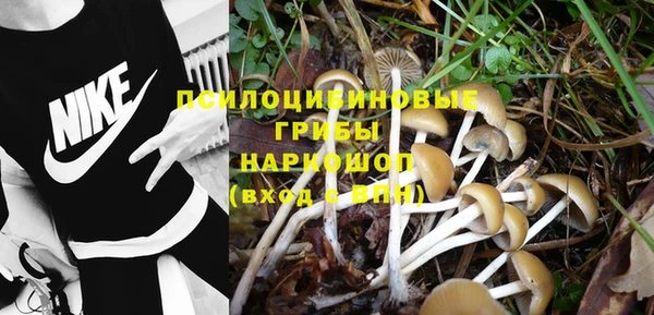 марки lsd Беломорск