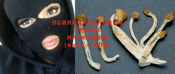 винт Белоозёрский